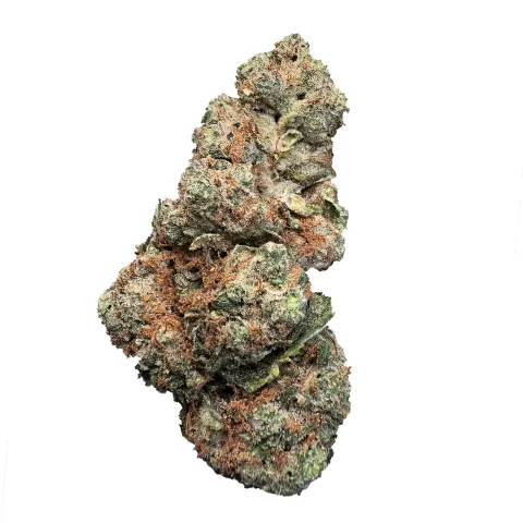 GMO cookies strain