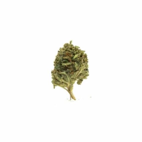 Bubba Kush Hemp