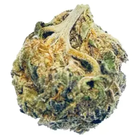 Gusher cake flower thca hybrid